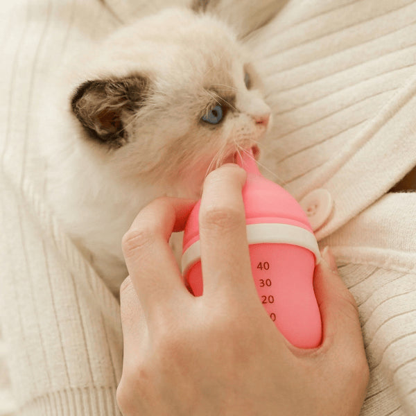 Chaton biberon prise en main facile contrôle débit lait nourrissage précis