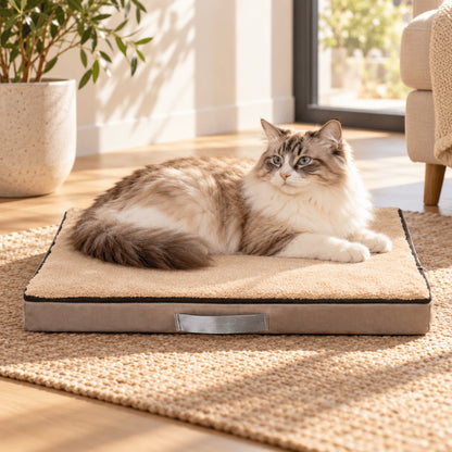 Couchage orthopédique chat beige pour grand chat allongé confortablement au repos