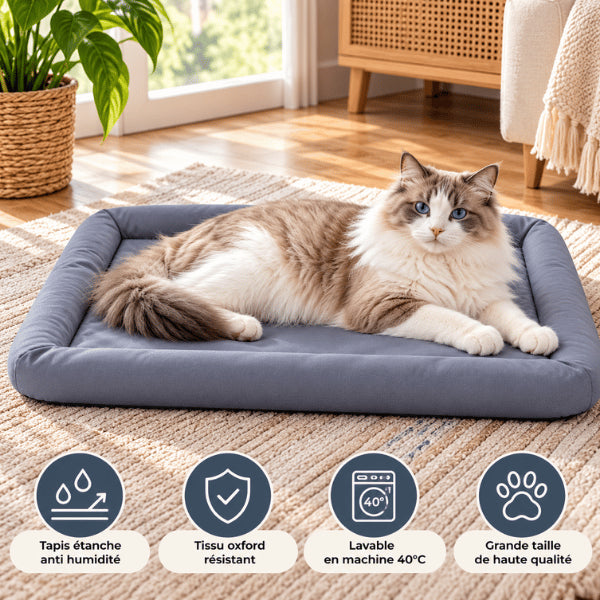 Couchage pour chat grande taille en tissu Oxford résistant et lavable
