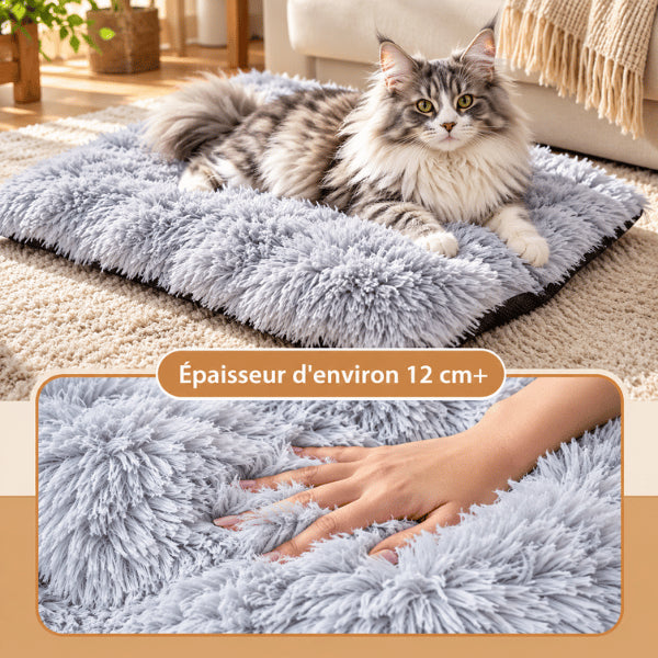 Couchages pour chats gris épais accueillant un grand félin sur peluche moelleuse