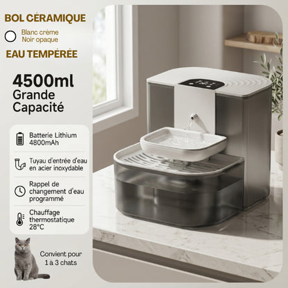 Distributeur à eau pour chat noir avec eau tempérée 28 degrés et bol céramique