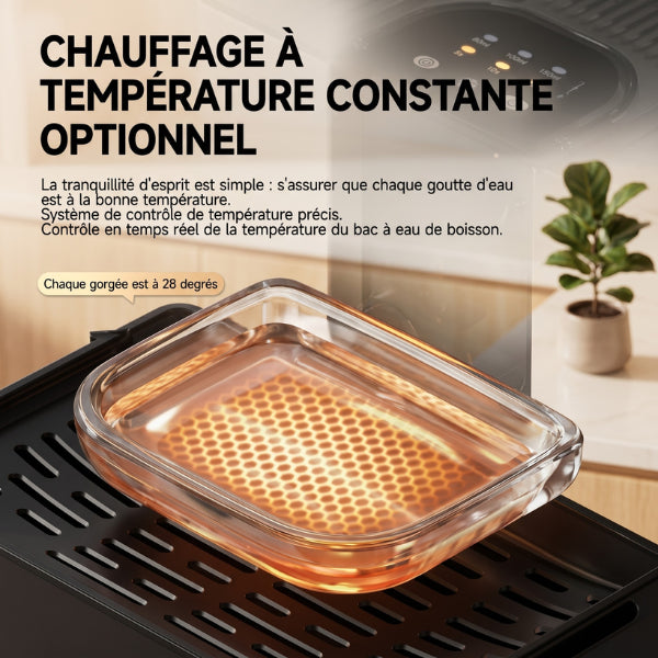 Distributeur à eau pour chat avec chauffage optionnel maintenant une eau tempérée constante