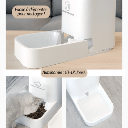 Distributeur automatique croquettes chat grande autonomie | DesignFeed™