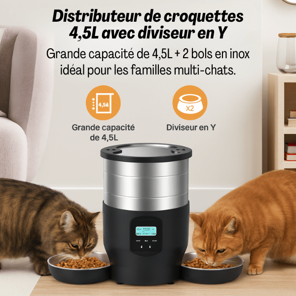 Distributeur automatique croquettes chat idéal famille multi-chats wifi repas | FeederWifi™ - Amour de Chat