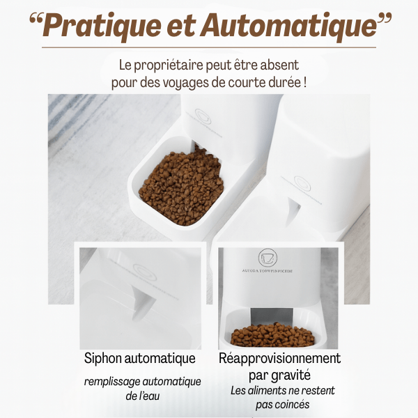 Distributeur automatique croquettes chat pratique gravitaire siphon | DesignFeed™