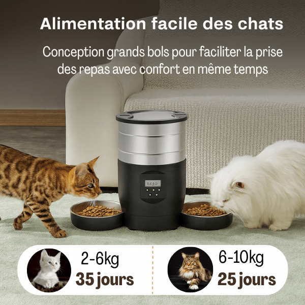 Distributeur automatique croquettes pour deux chat facilement grande capacité 2 bols inox | FeederWifi™ - Amour de Chat