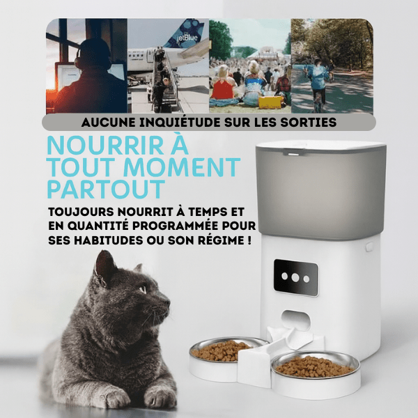 Distributeur automatique de croquettes chat controle à distance pour sortie | TwinBowl Feeder™