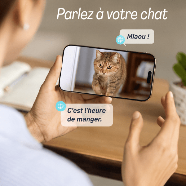 Distributeur croquette chat application caméra discussion live | MegaFeeder Control™ - Amour de Chat