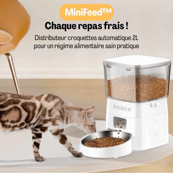 Distributeur croquette chat automatique étanche hermétique repas frais | MiniFeed™