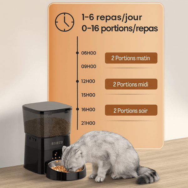 Distributeur croquette chat automatique programmable repas régime planifié noir | MiniFeed™
