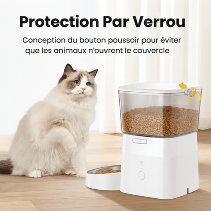 Distributeur croquette chat automatique sécurité protection couvercle moteur | MiniFeed™