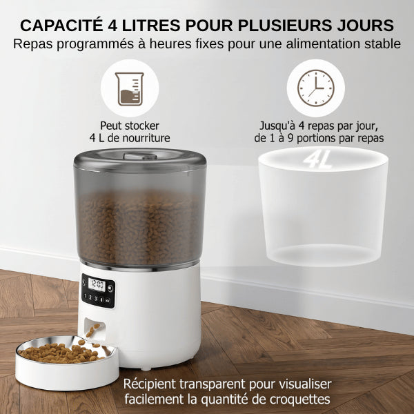 Distributeur croquette 4 litres programmable offrant autonomie longue durée pour chat adulte