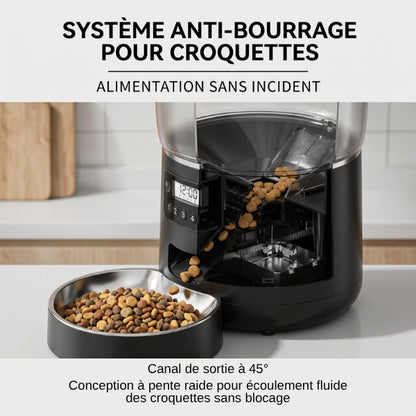 Distributeur croquette anti bourrage garantissant distribution fluide des repas programmés quotidiens