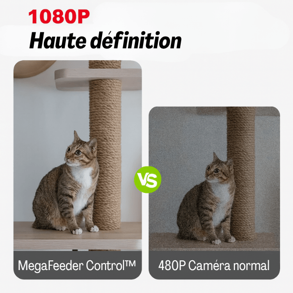 Distributeur croquette chat wifi caméra haute définition qualité | MegaFeeder Control™ - Amour de Chat