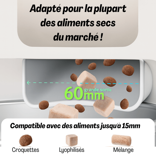 Distributeur croquette chat XXL wifi adapté tout aliment | MegaFeeder Control™ - Amour de Chat