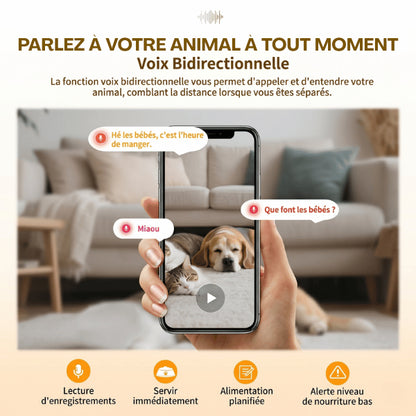 Distributeur croquettes connecté avec audio bidirectionnel pour communiquer avec votre animal