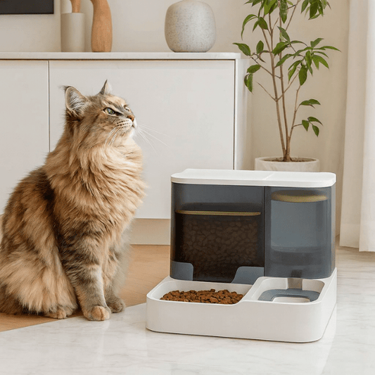 Distributeur croquettes pour chat 2 bols 2en1 chat cuisine repas | PurrCroq™