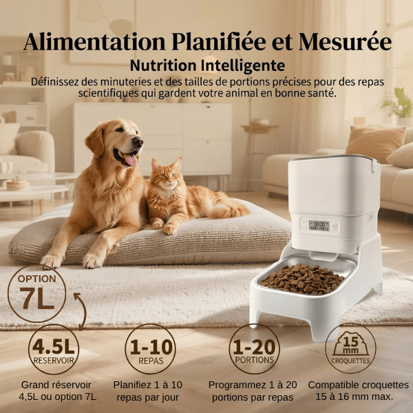 Distributeur croquettes programmable pour alimentation planifiée et mesurée nutrition intelligente