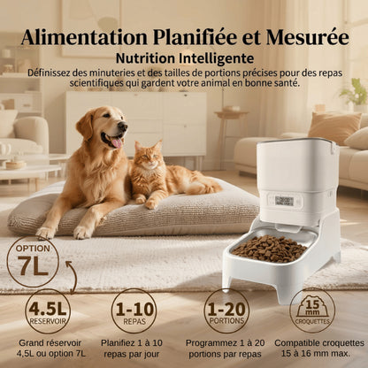 Distributeur croquettes programmable pour alimentation planifiée et mesurée nutrition intelligente