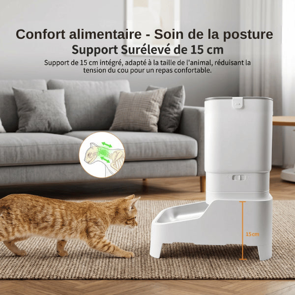 Distributeur croquettes surélevé quinze centimètres réduisant tension cervicale pendant les repas