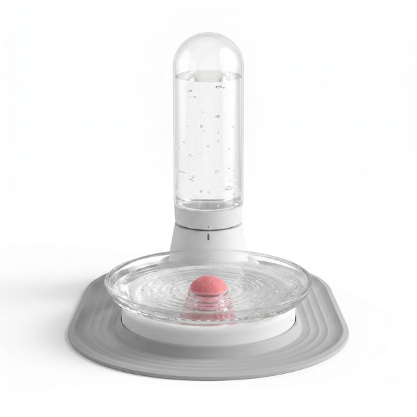 Distributeur d'eau pour chat filtre permanent grand bol hydratant confortable