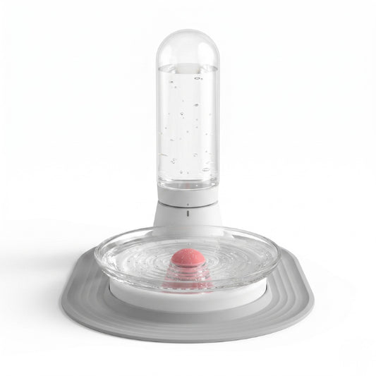 Distributeur d'eau pour chat filtre permanent grand bol hydratant confortable