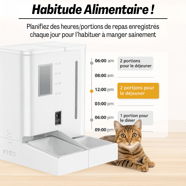 Distributeur de croquettes chat automatique 2en1 habitude alimentaire | FullFeeder™
