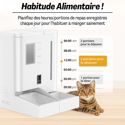 Distributeur de croquettes chat automatique 2en1 habitude alimentaire | FullFeeder™
