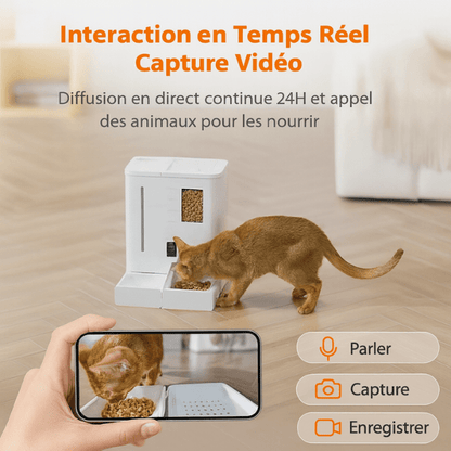 Distributeur de croquettes chat automatique interactif appel photo vidéo | FullFeeder™