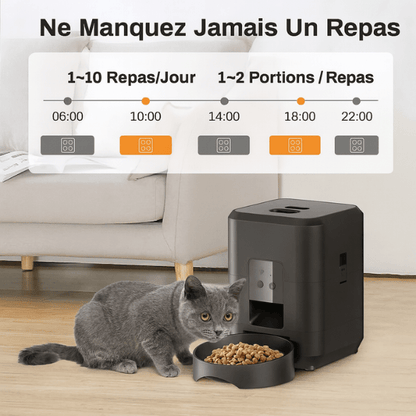 Distributeur de croquettes pour chat automatique plan de repas | CroqTech™