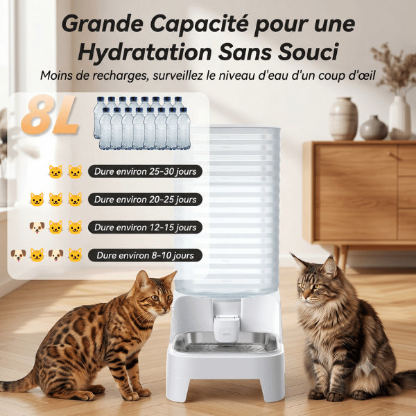Distributeur eau chat 8 litres autonomie prolongée pour plusieurs animaux