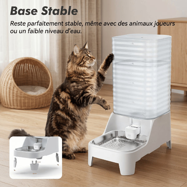 Distributeur eau chat base stable résistante aux animaux joueurs