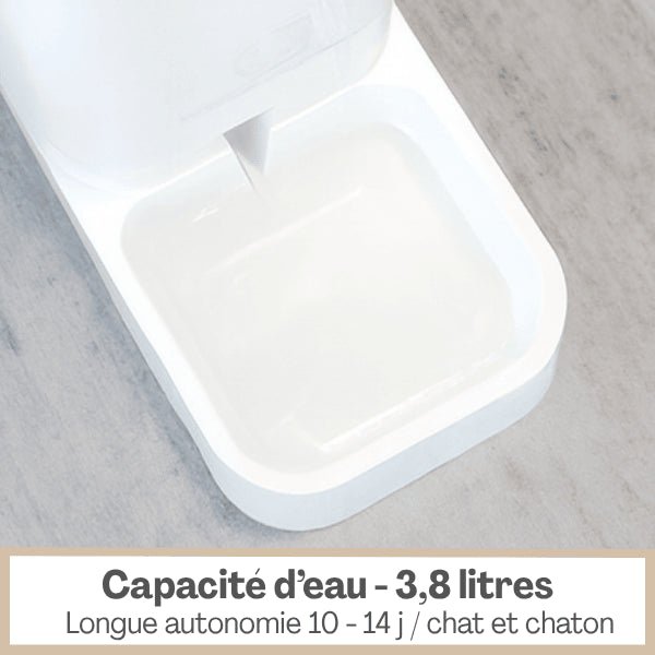 Distributeur eau chat grande capacité 3,8 L longue autonomie une semaine 10 à 14 jours chat et chaton DesignFlow™