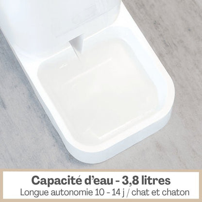 Distributeur eau chat grande capacité 3,8 L longue autonomie une semaine 10 à 14 jours chat et chaton DesignFlow™