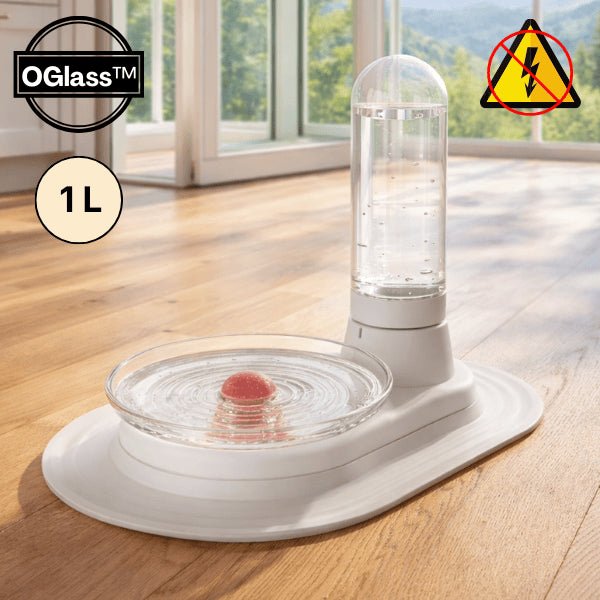 Distributeur eau chat sans fil et sans électricité avec réservoir 1 L et grand bol stable