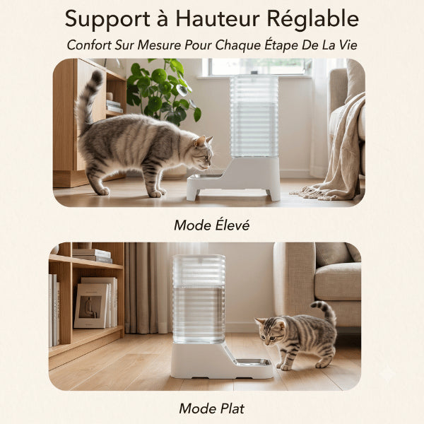Distributeur eau chat hauteur réglable pour chaton et chat adulte