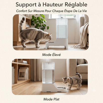 Distributeur eau chat hauteur réglable pour chaton et chat adulte