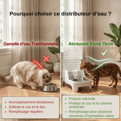 Distributeur eau chat surélevé favorisant posture naturelle et confortable
