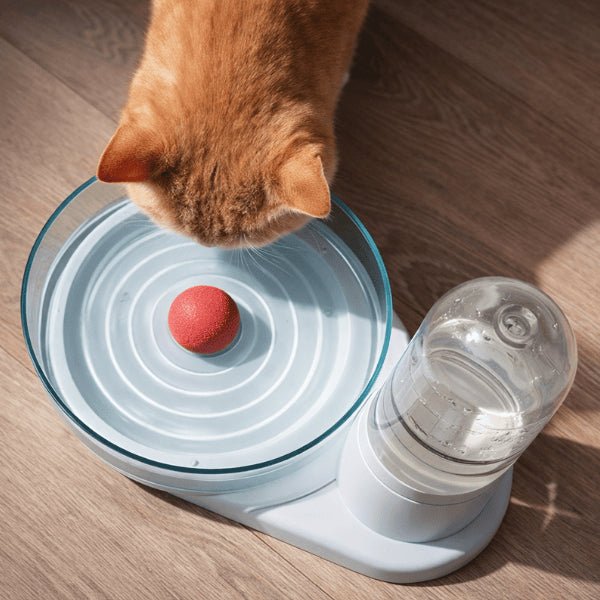 Vue du dessus d’un distributeur eau chat sans fil et sans filtre avec grand bol pour hydratation continue