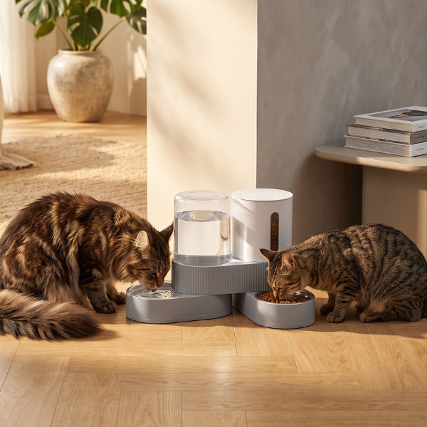 Distributeur eau et croquette chat idéal pour plusieurs chats avec bols séparés quotidiens