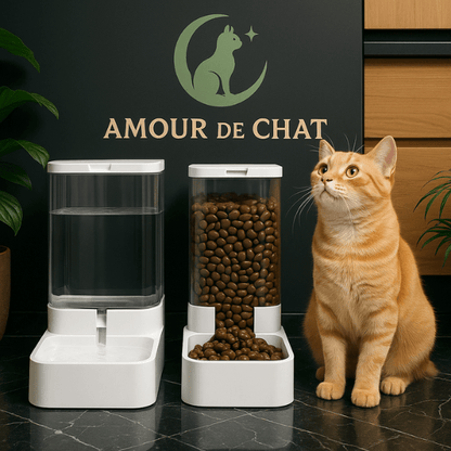Distributeur eau et croquettes pour chat  : repas complet indépendant pratique - Essentiel Félin™