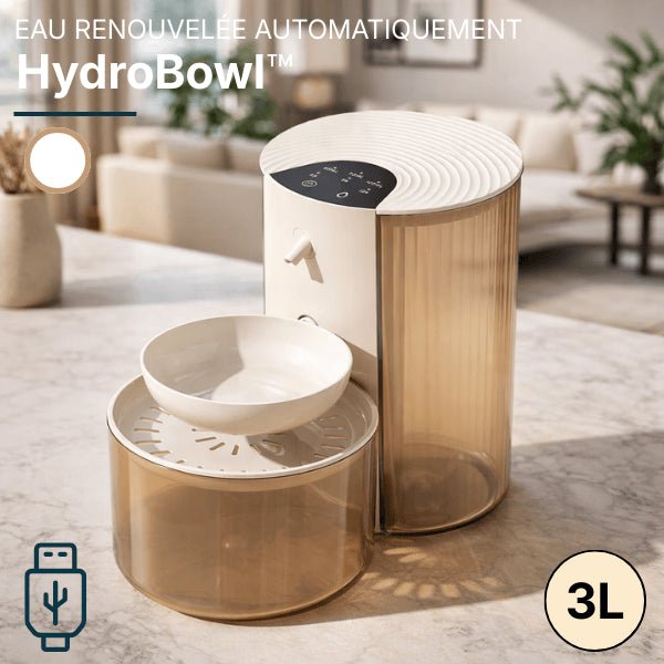 Distributeur eau pour chat automatique sur batterie rechargeable par câble USB blanc marron