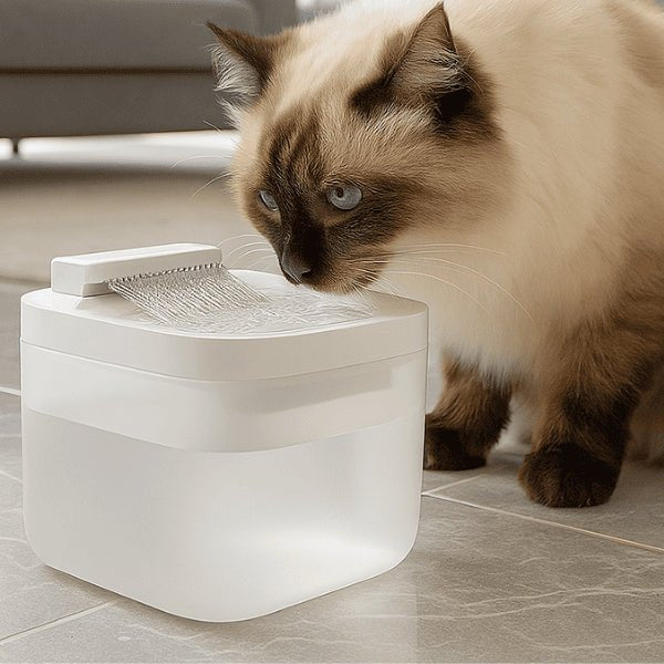 Distributeur eau pour chat automatique design jets filtre blanc siamois boit dans Nekoliss™