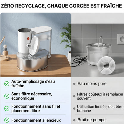 Distributeur eau pour chat offrant chaque gorgée fraîche sans filtre économique