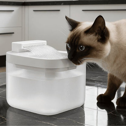 Distributeur eau pour chat silencieux design jets filtre automatique meilleure hydratation Nekoliss™