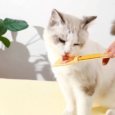 Distributeur Nourriture Chat - MeowSpoon™ - Orange - Mon Amour de Chat