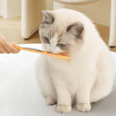 Distributeur Nourriture Chat - MeowSpoon™ - Orange - Mon Amour de Chat