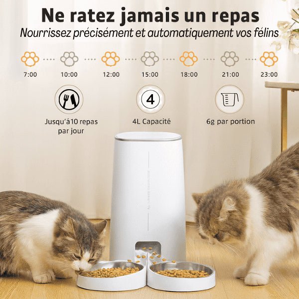 Distributeurs croquettes pratique deux chats repas contrôlés portions CroqLink™