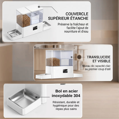 Distributeurs nourriture pour chats avec bol inox et couvercle étanche