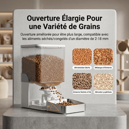 Distributeurs nourriture pour chats compatibles croquettes et aliments lyophilisés variés 2 à 18 mm
